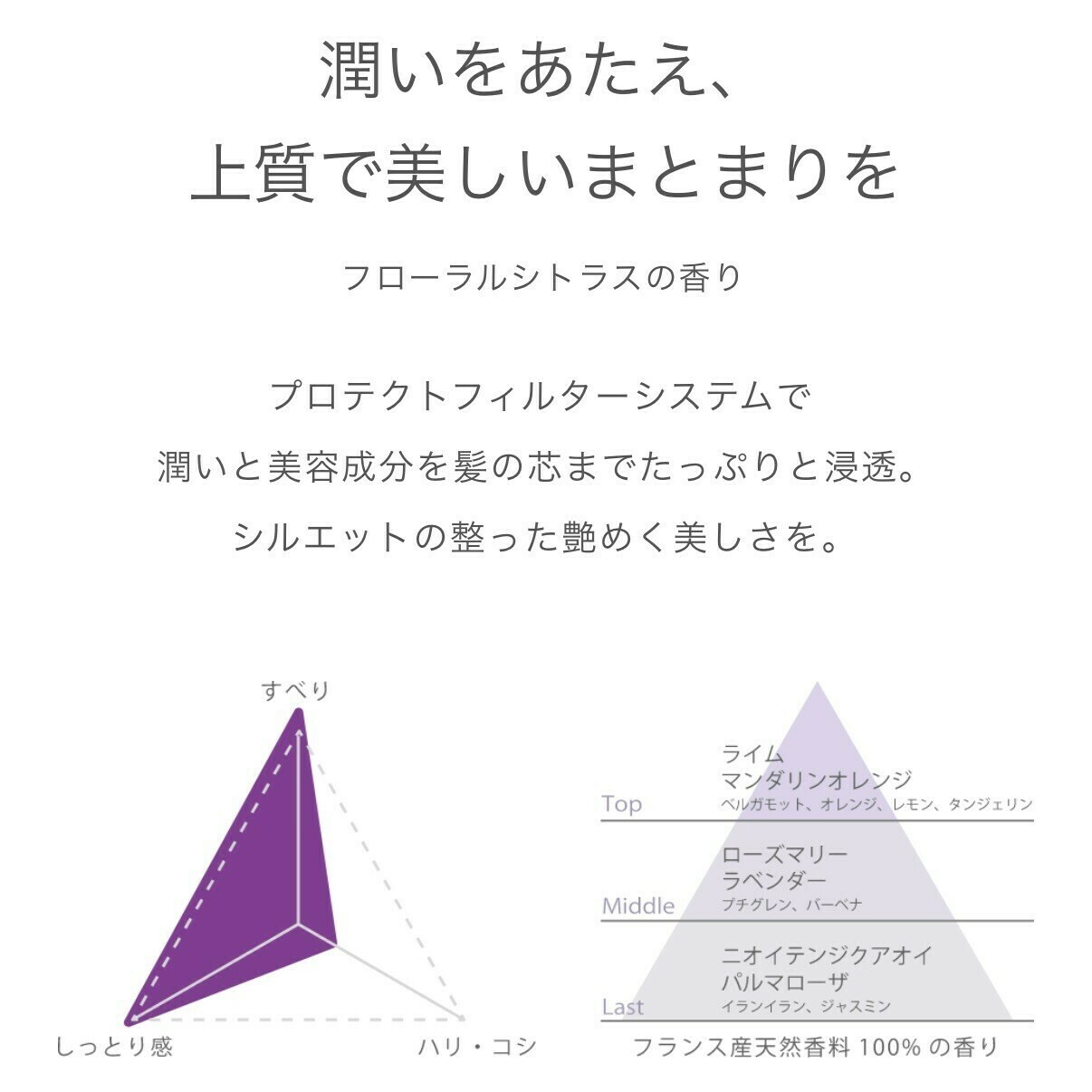 ADJUVANT Re:>>> Class S アジュバン リ クラス エス シャンプー トリートメント比較
