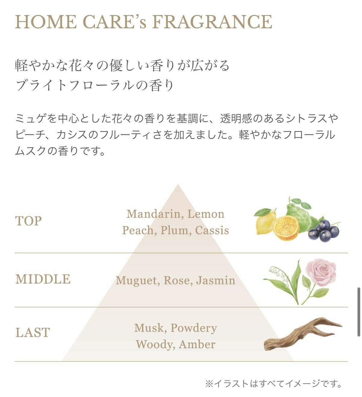 フローディアモア FLOWDIA MORE