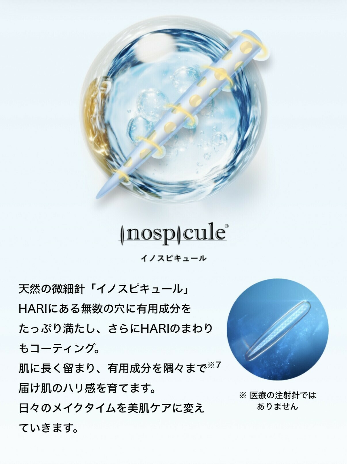 イノスピキュールとは