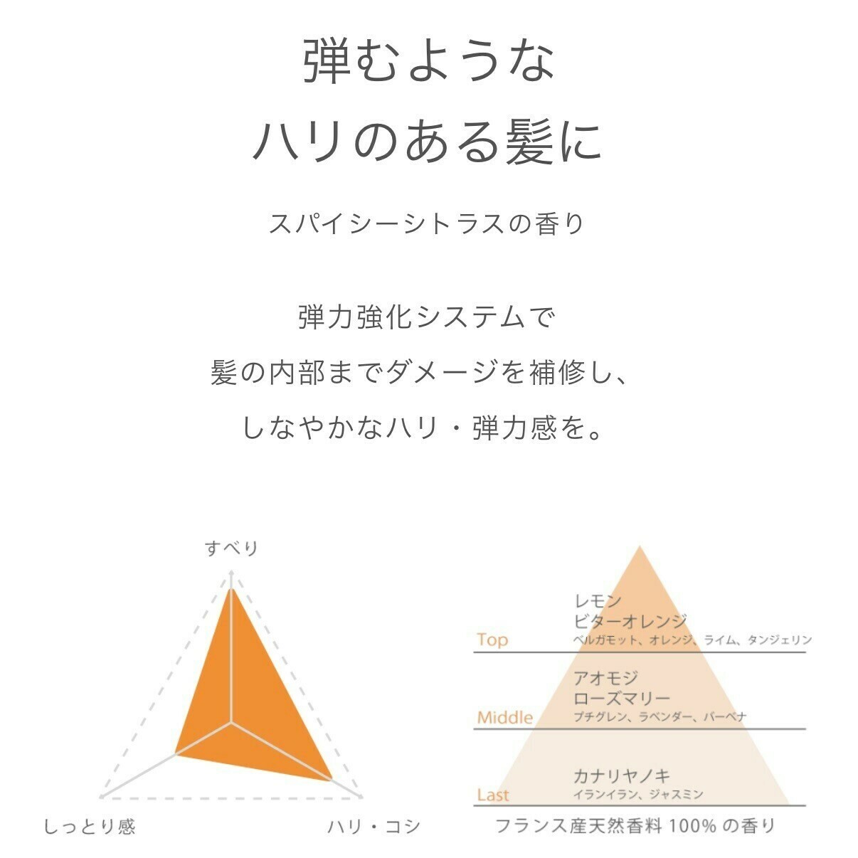 ADJUVANT Re:>>> Class S アジュバン リ クラス エス シャンプー トリートメント比較