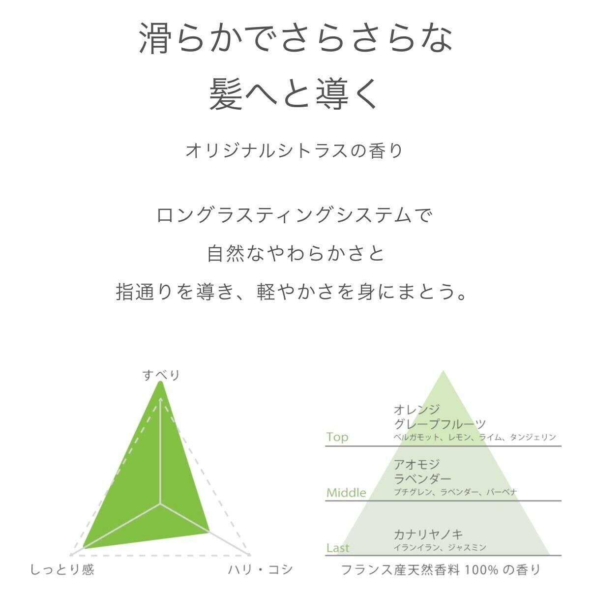 ADJUVANT Re:>>> Class S アジュバン リ クラス エス シャンプー トリートメント比較