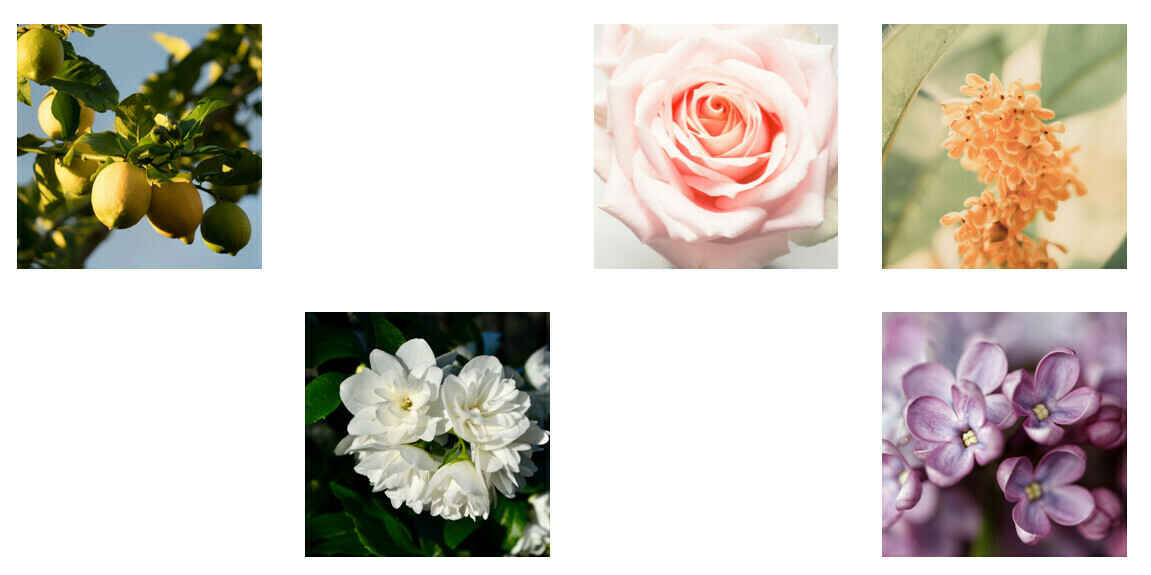 ブルーミングヴェール香りイメージ